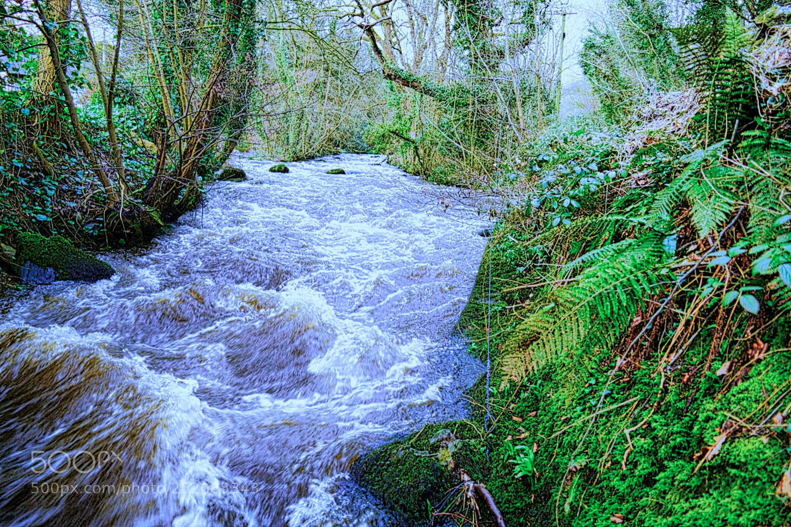 Nikon D5300 sample photo. Mountain river after rain photography