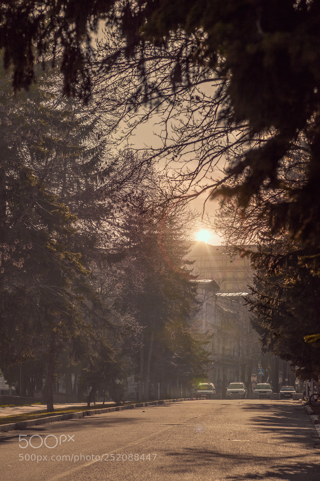Canon EOS 5D Mark II sample photo. Начало весны photography