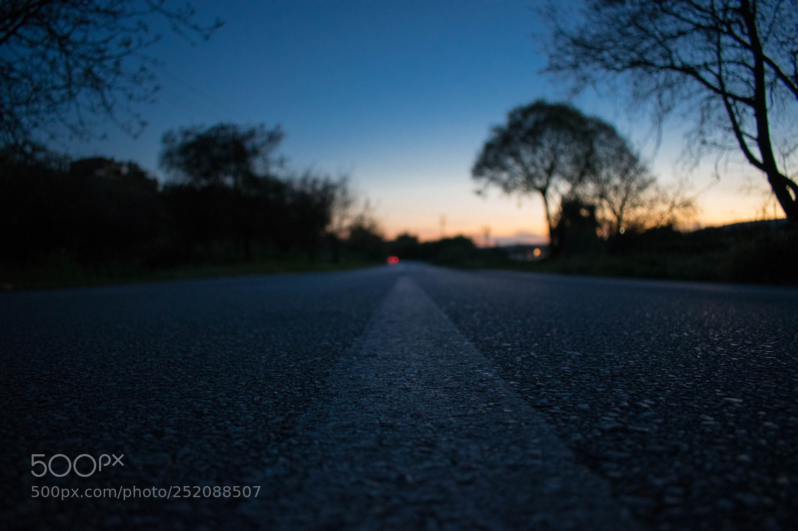 Nikon D3300 sample photo. Golden hour photography