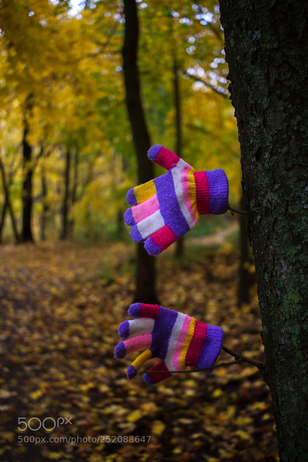 Canon EOS 350D (EOS Digital Rebel XT / EOS Kiss Digital N) sample photo. Fall in voronezh photography