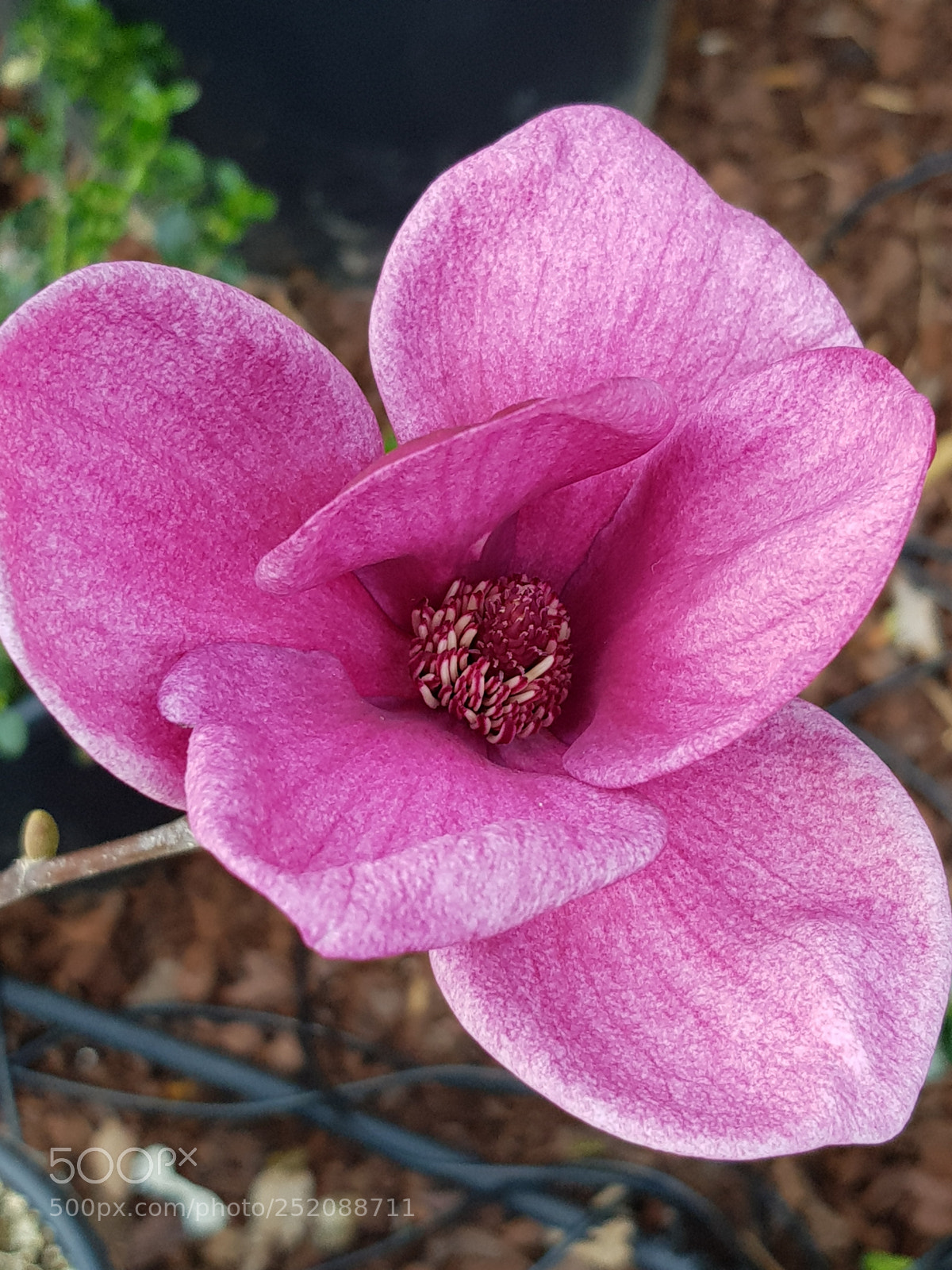 Samsung Galaxy S8 sample photo. Untitled photography