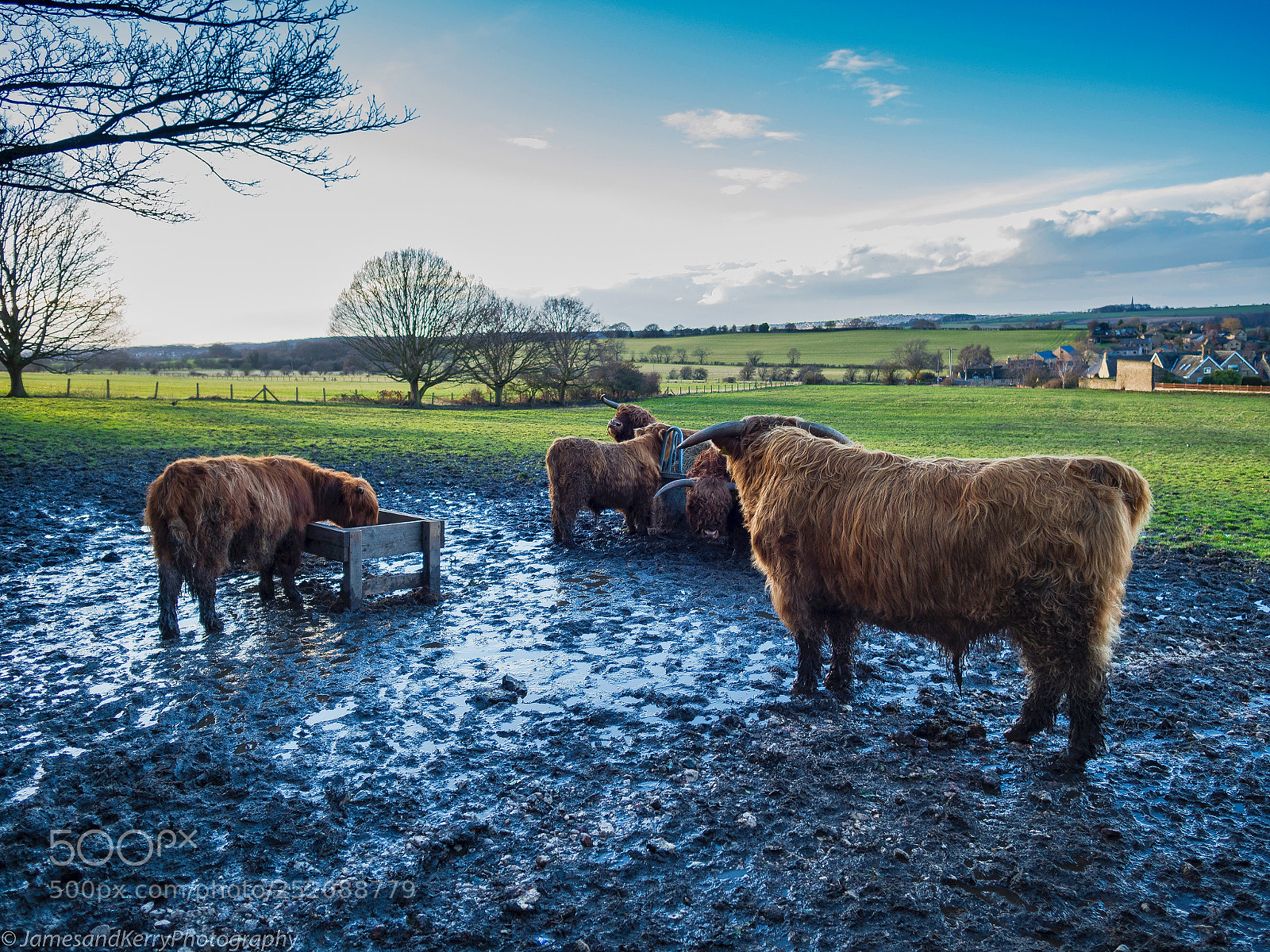 Olympus PEN-F sample photo. Highlanders having tea photography