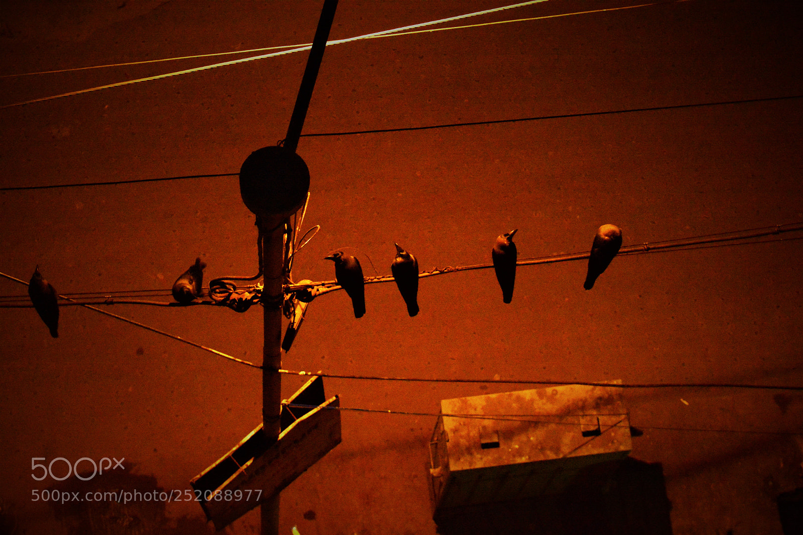 Nikon D5200 sample photo. Moods photography