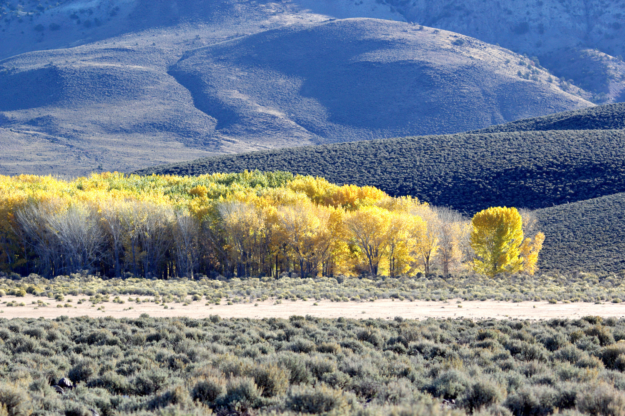 Canon EF 135mm F2L USM sample photo. Autumn color photography