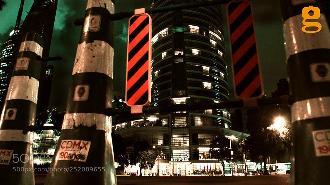Canon EOS 60D sample photo. Cebra red photography