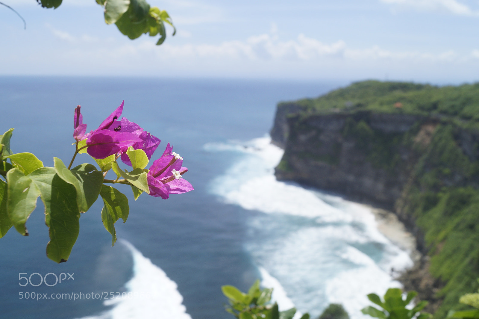 Sony SLT-A58 sample photo. Kai_bali_2017 photography