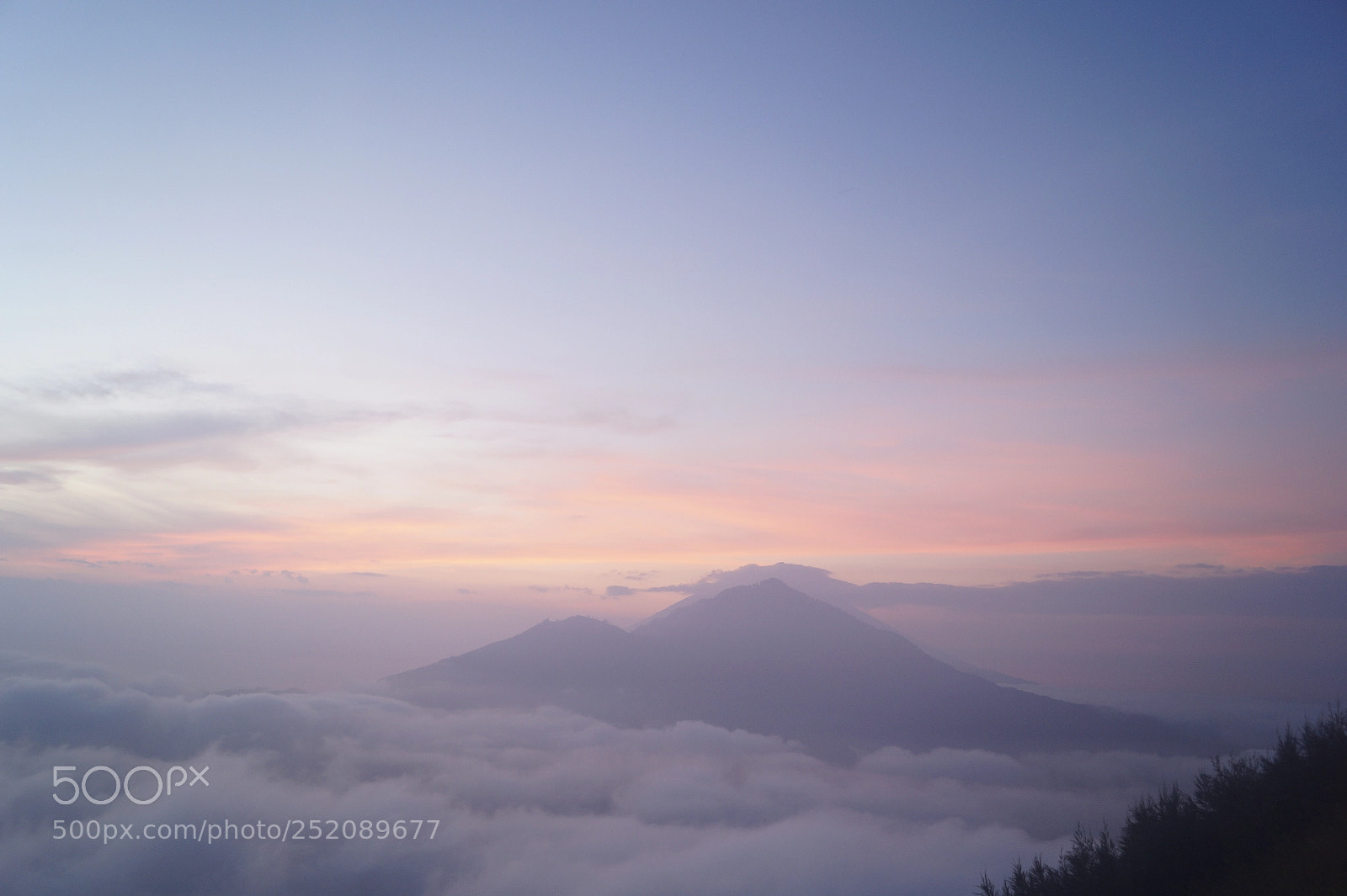 Sony SLT-A58 sample photo. Kai_bali_2017 photography