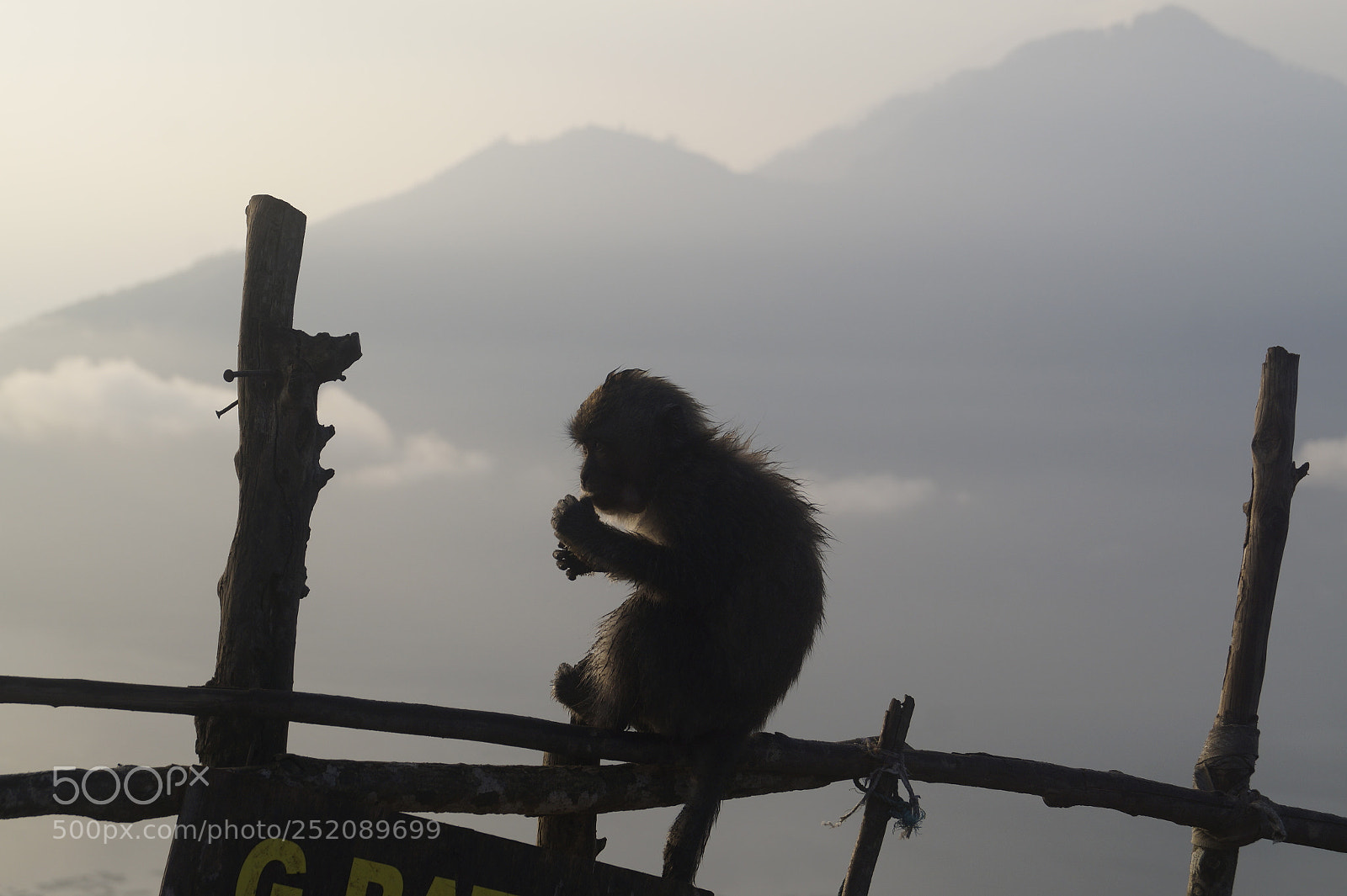 Sony SLT-A58 sample photo. Kai_bali_2017 photography