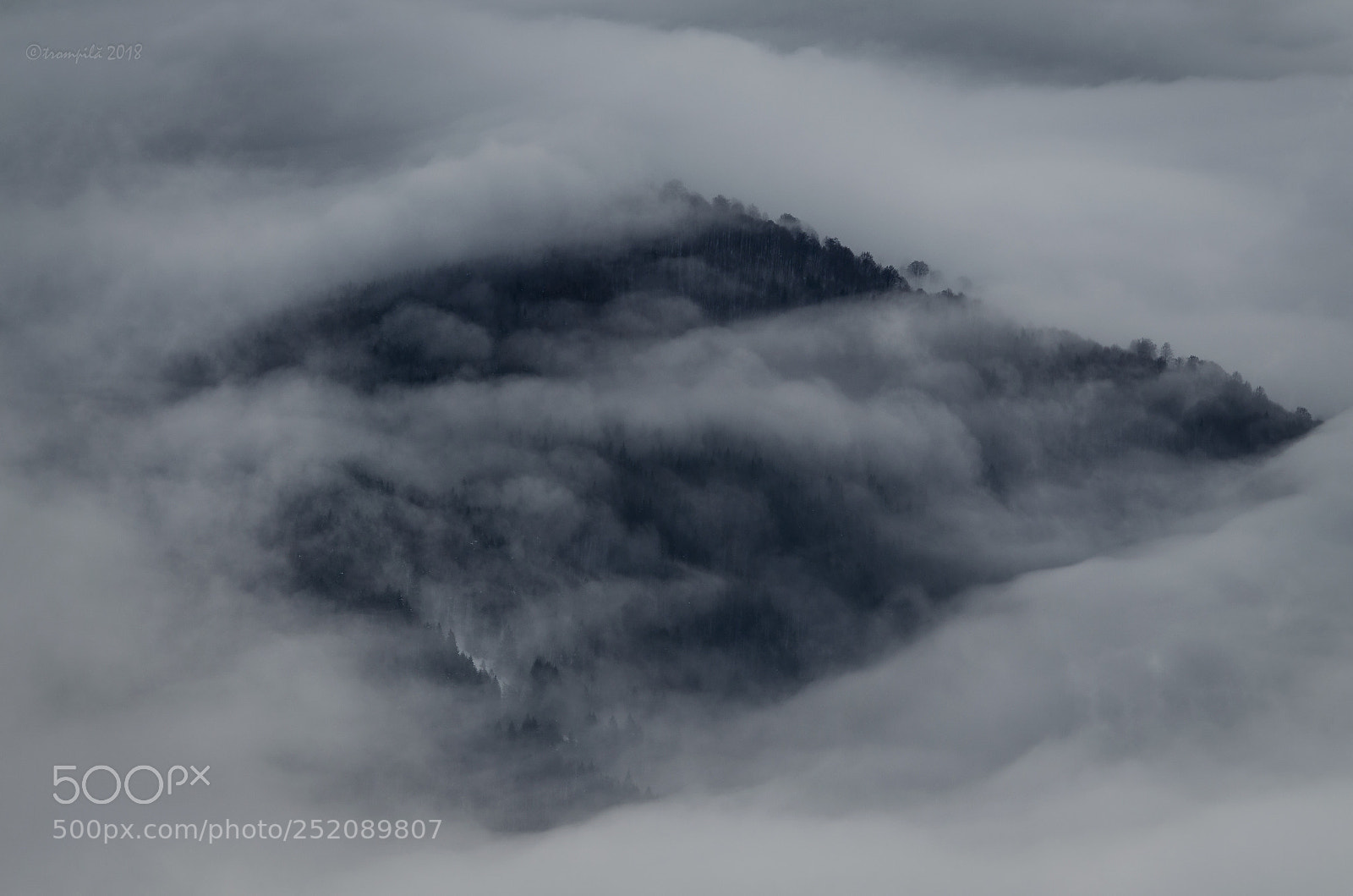 Nikon D5100 sample photo. Misty mountains ii photography