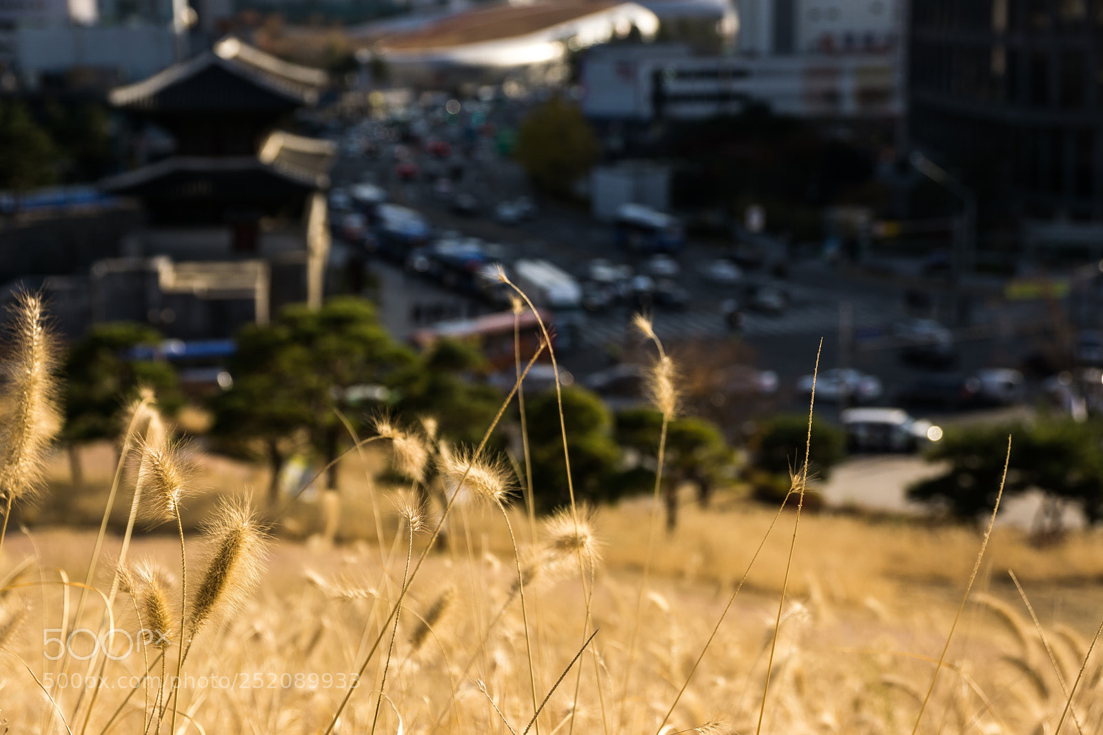 Sony a6000 sample photo. A place to be photography