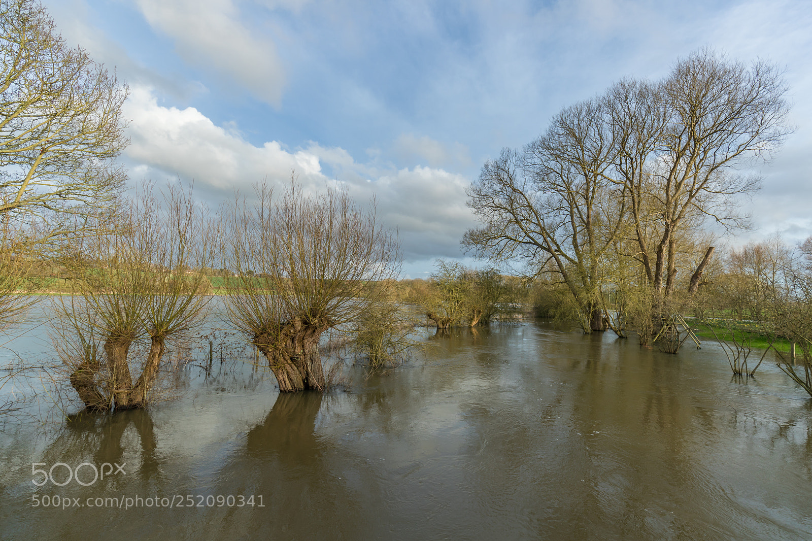 Canon EOS-1D X Mark II sample photo. Floods photography