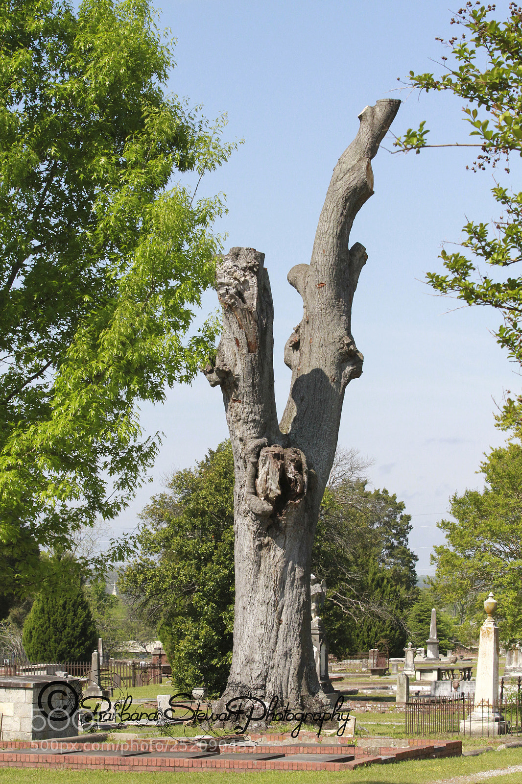 Canon EOS 7D sample photo. Img photography