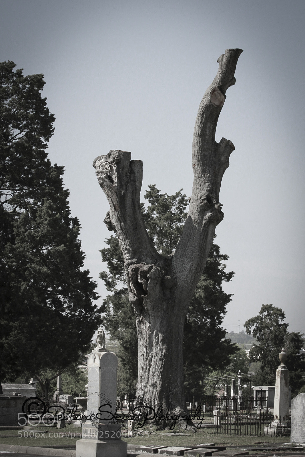 Canon EOS 7D sample photo. Img photography