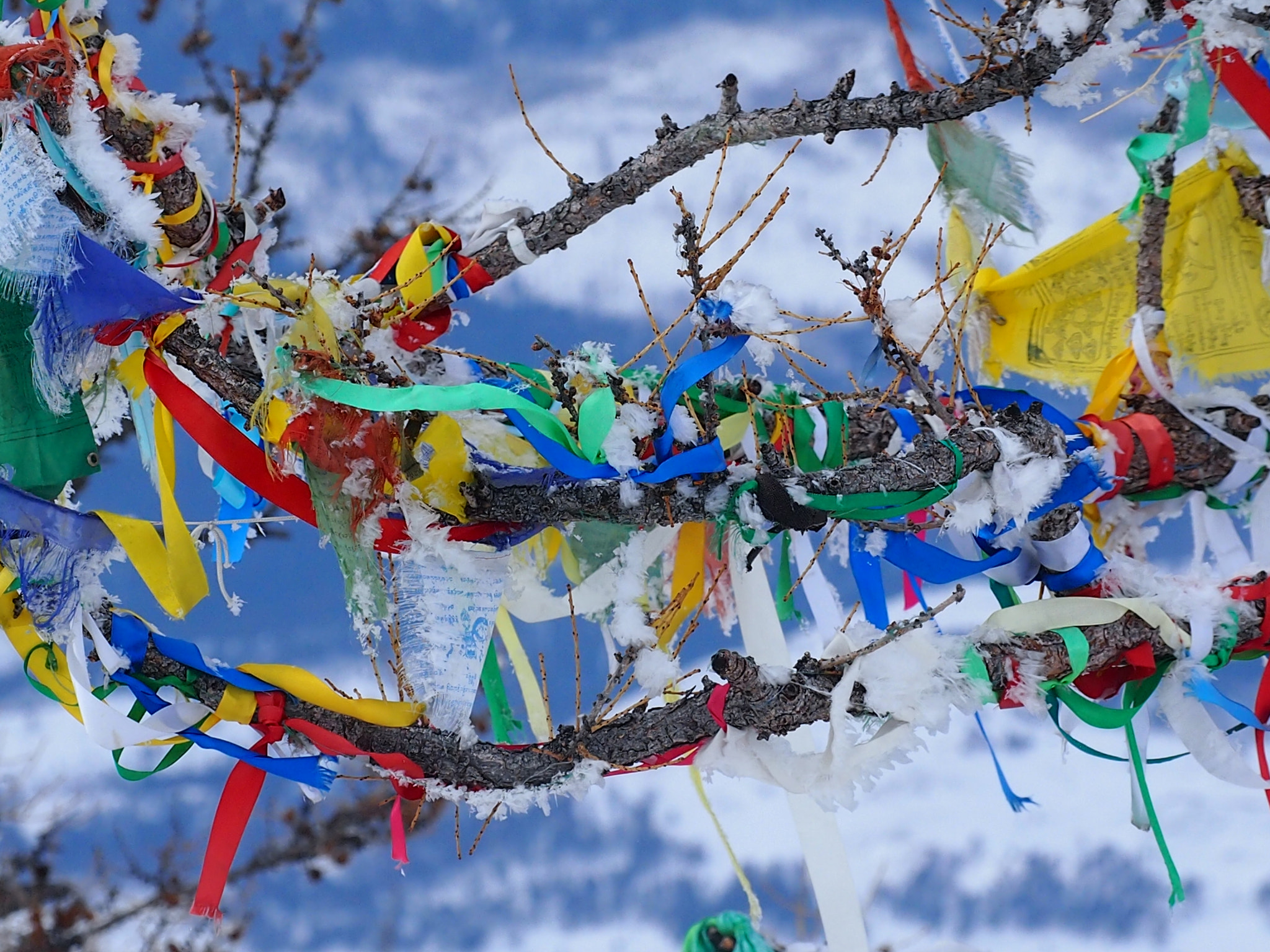 Olympus PEN E-P3 sample photo. Buddhist ribbons photography