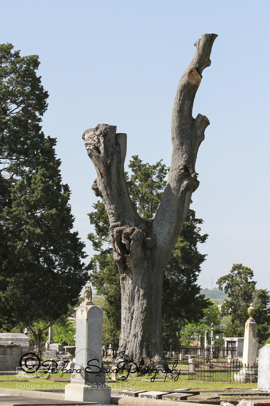 Canon EOS 7D sample photo. Img photography