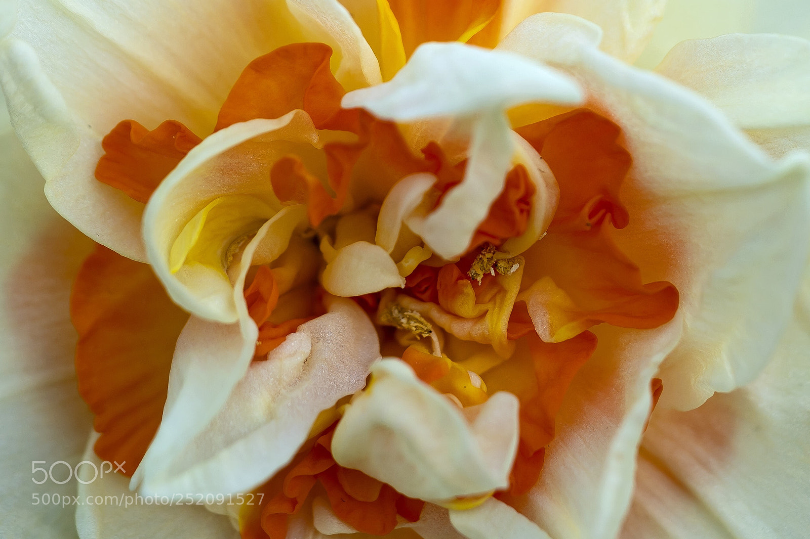 Sony a7R III sample photo. Untitled photography