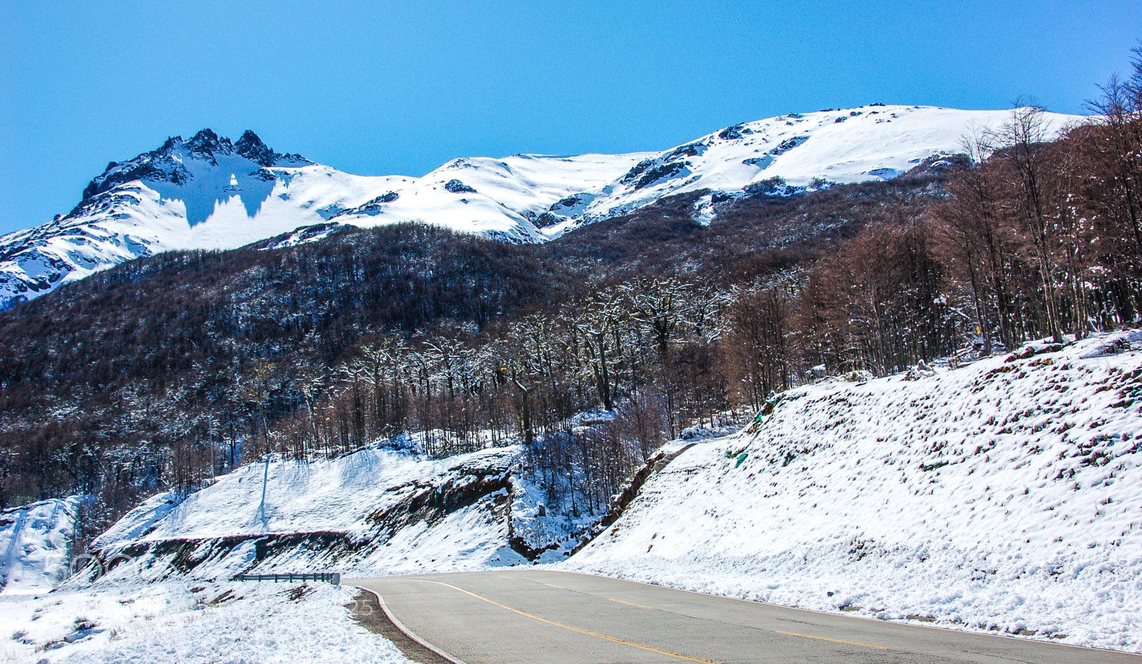 Nikon D50 sample photo. ...a road taken... photography