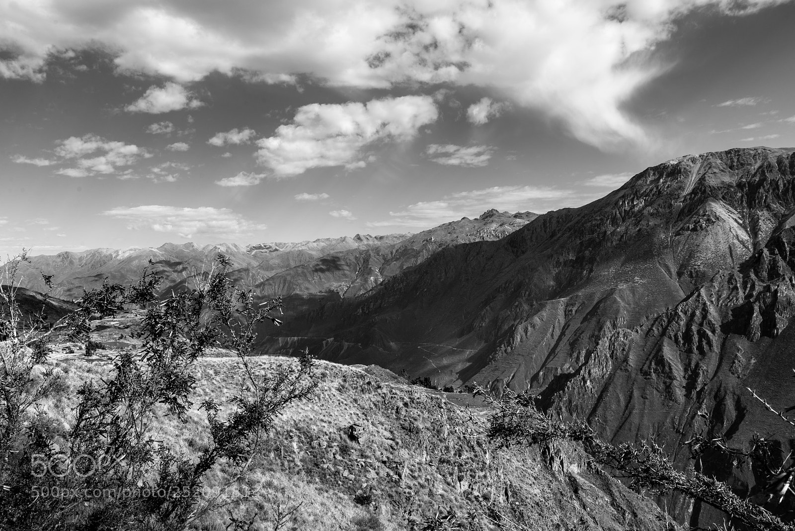 Nikon D610 sample photo. Life in the andes photography