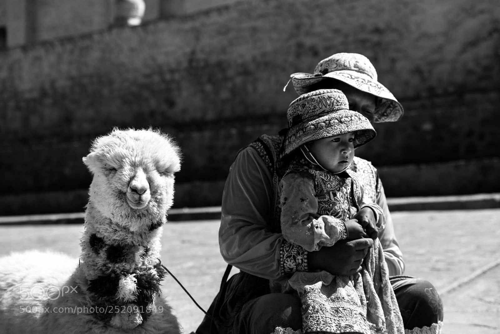 Nikon D610 sample photo. Life in the andes photography
