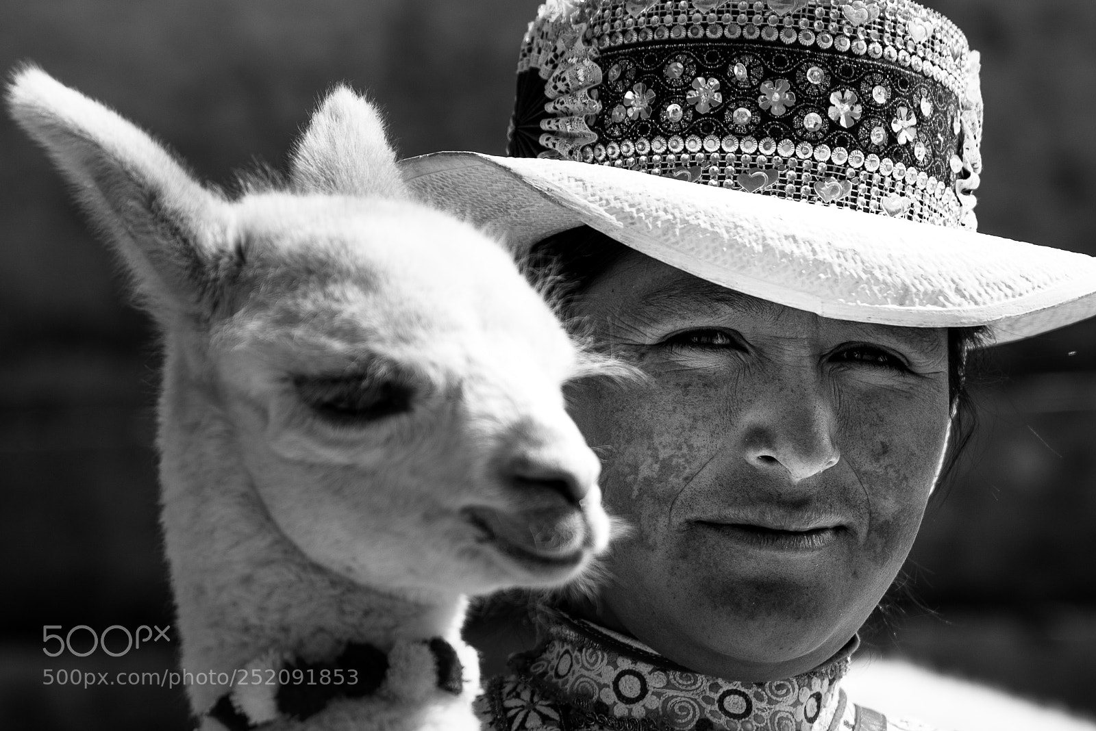 Nikon D610 sample photo. Life in the andes photography