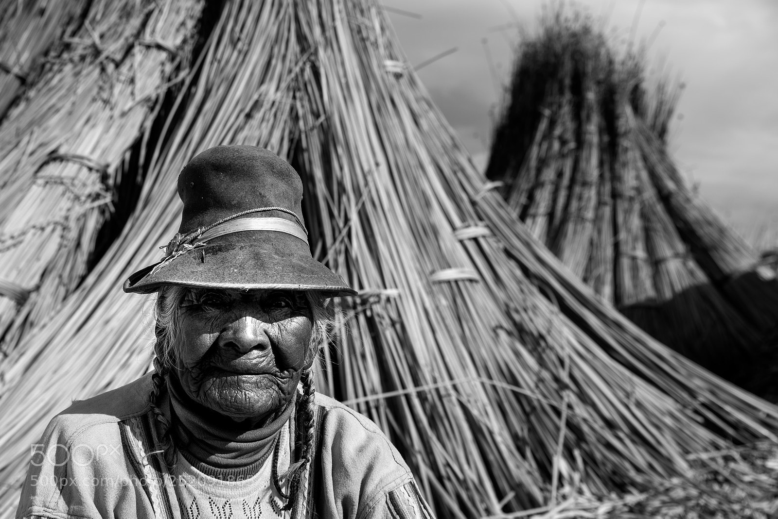 Nikon D610 sample photo. Life in the andes photography