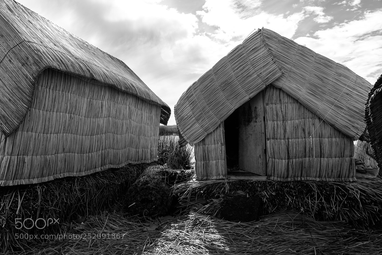 Nikon D610 sample photo. Life in the andes photography