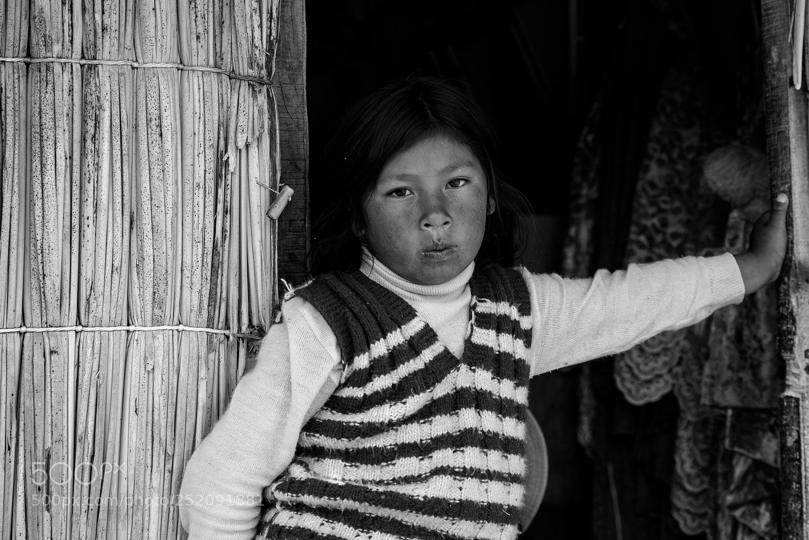 Nikon D610 sample photo. Life in the andes photography