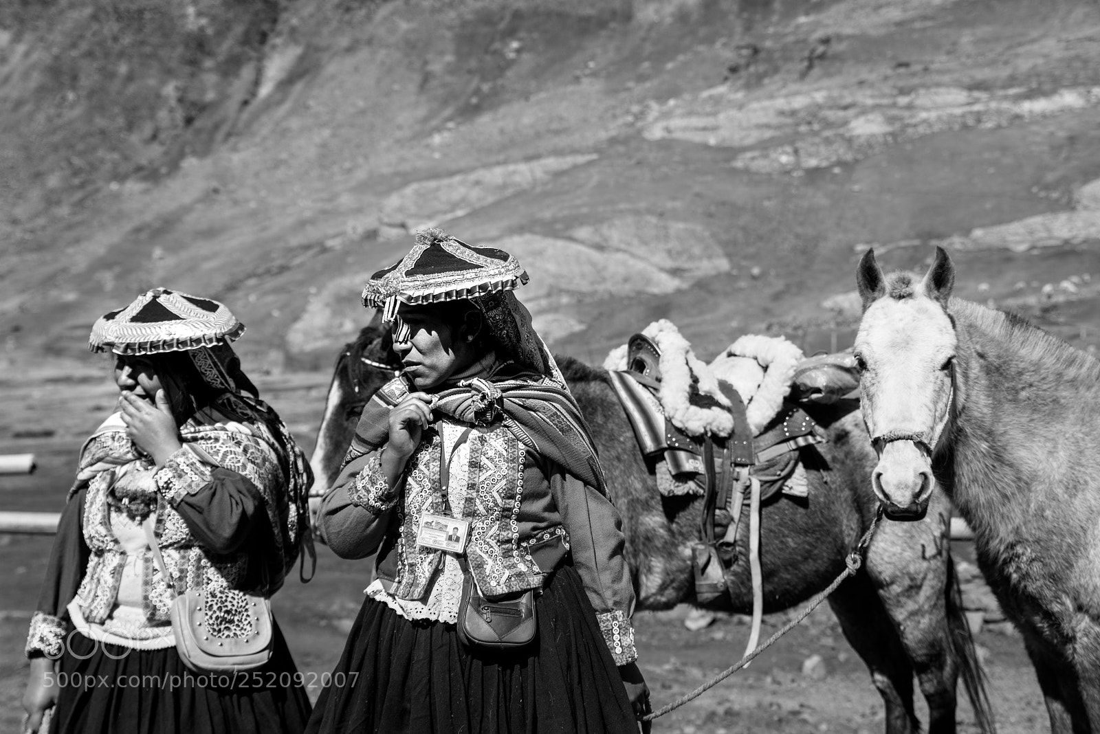 Nikon D610 sample photo. Life in the andes photography