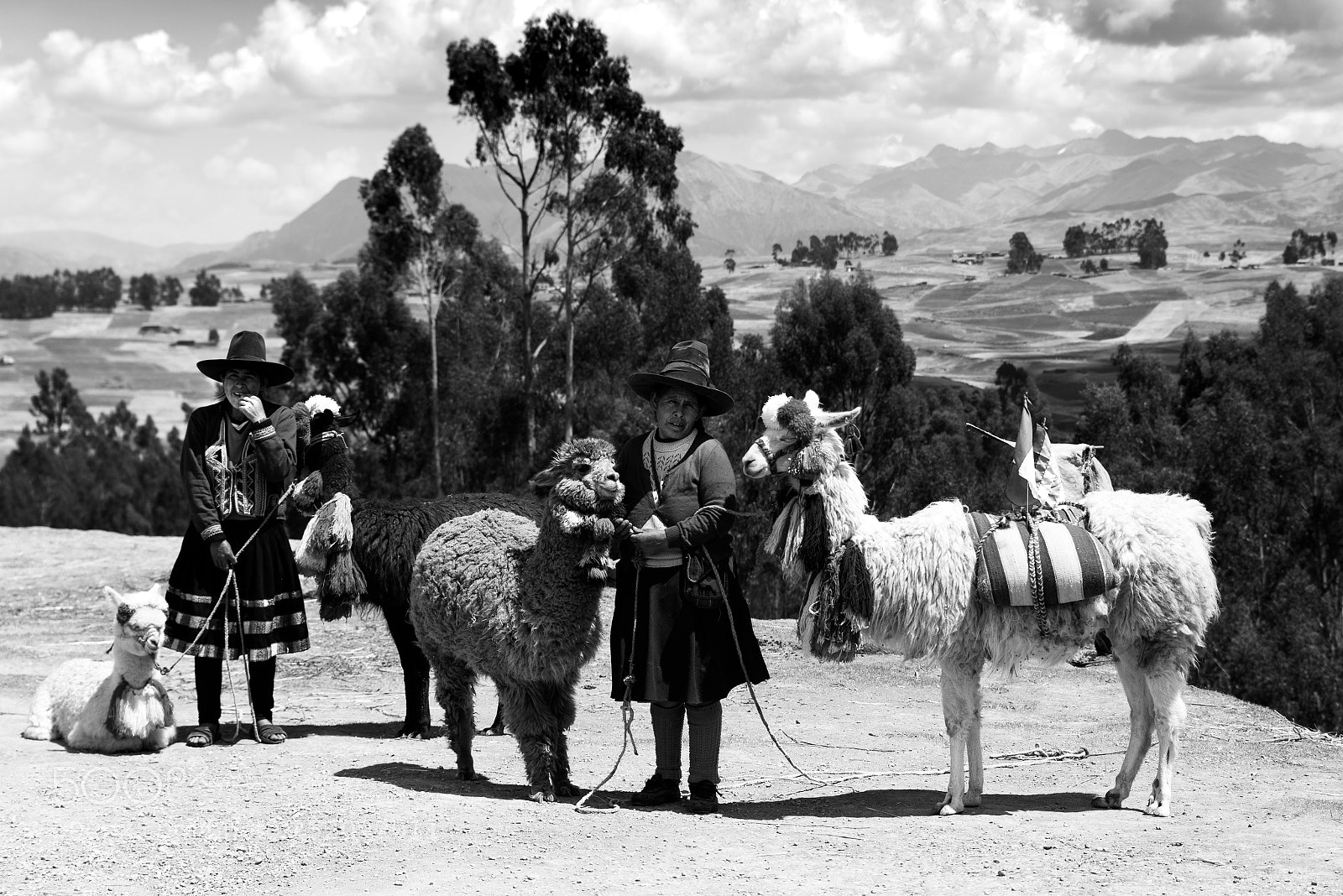 Nikon D610 sample photo. Life in the andes photography