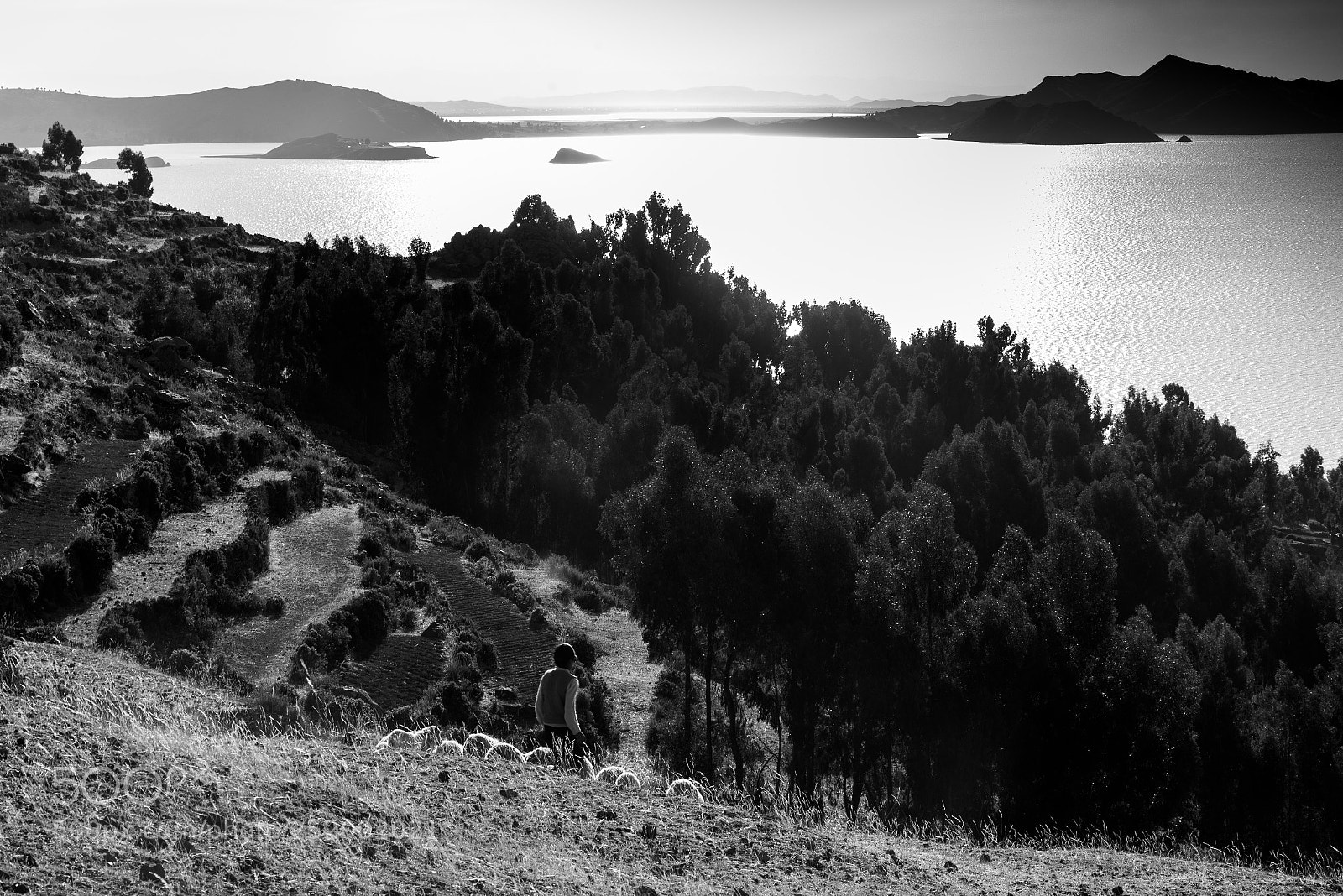Nikon D610 sample photo. Life in the andes photography
