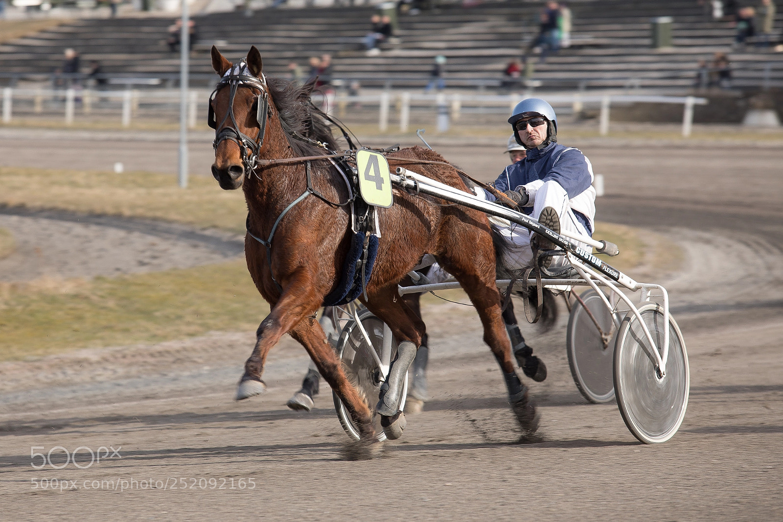 Canon EOS 5D Mark IV sample photo. Trotting photography