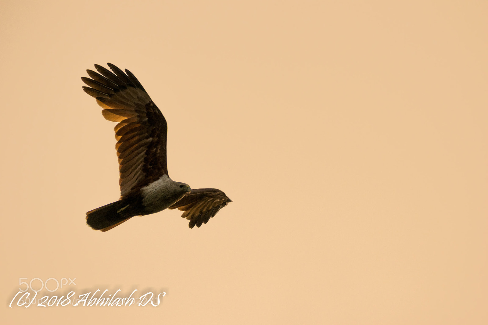 Nikon D5300 sample photo. Untitled photography