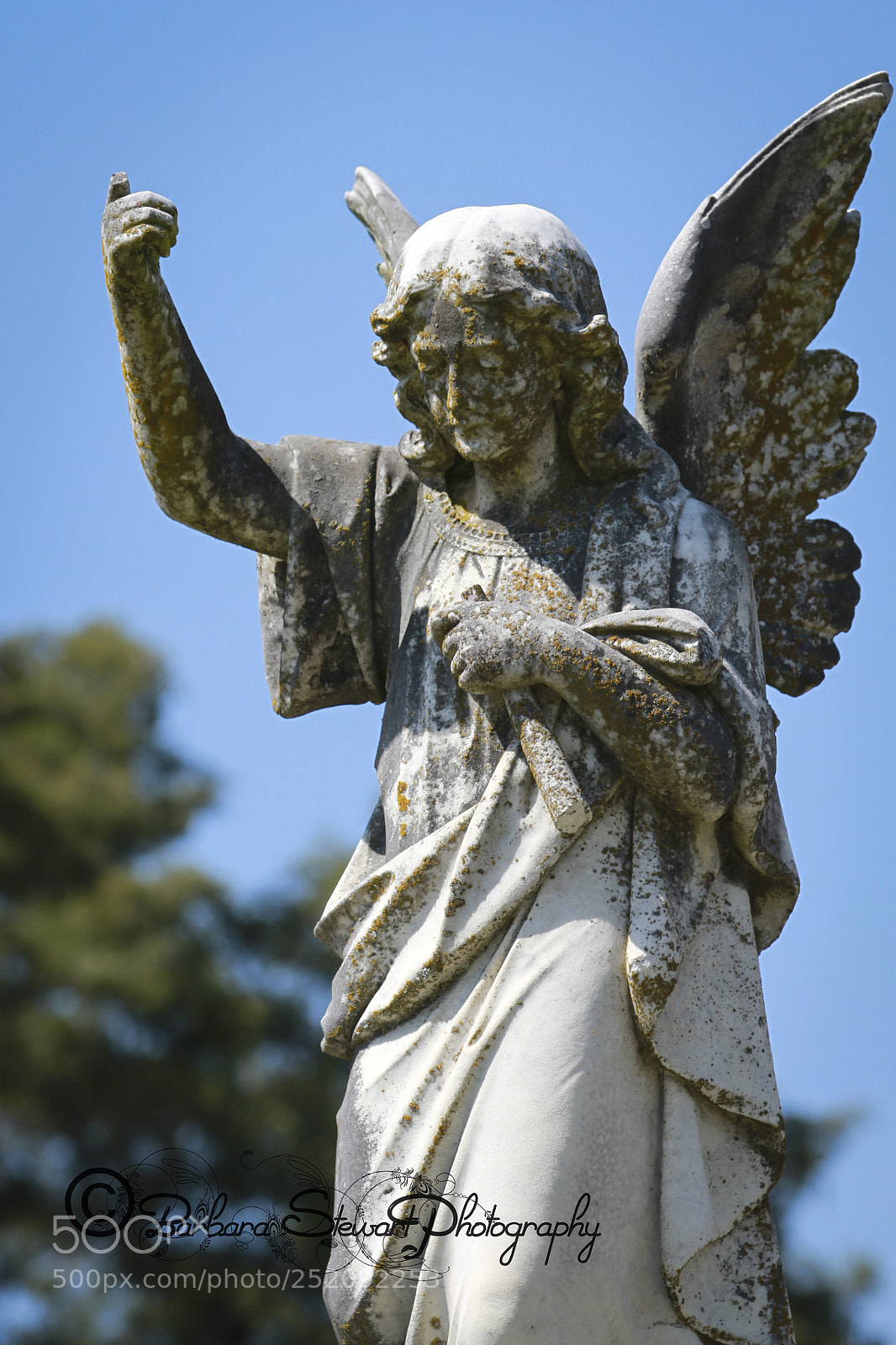 Canon EOS 7D sample photo. Img photography
