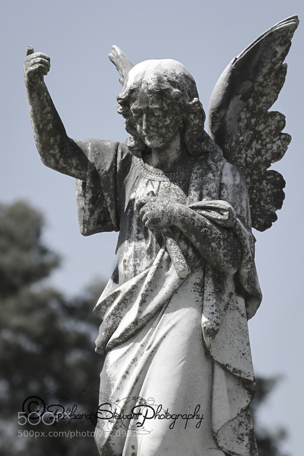 Canon EOS 7D sample photo. Img photography