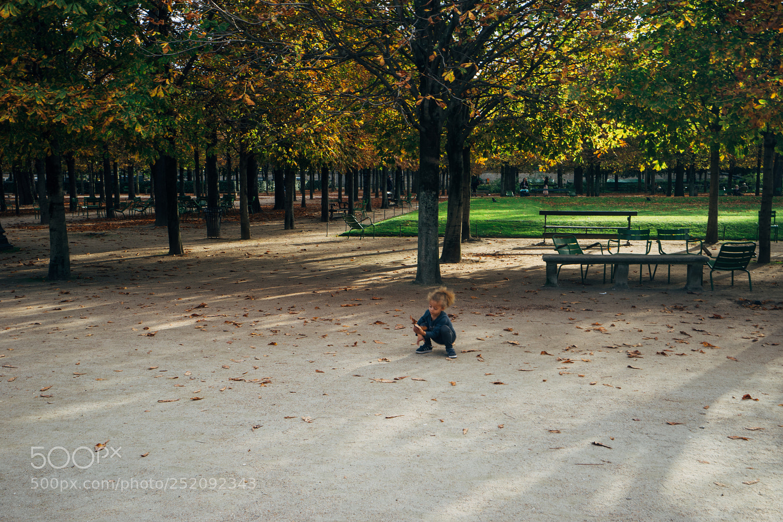 Sony a7 sample photo. Dsc photography