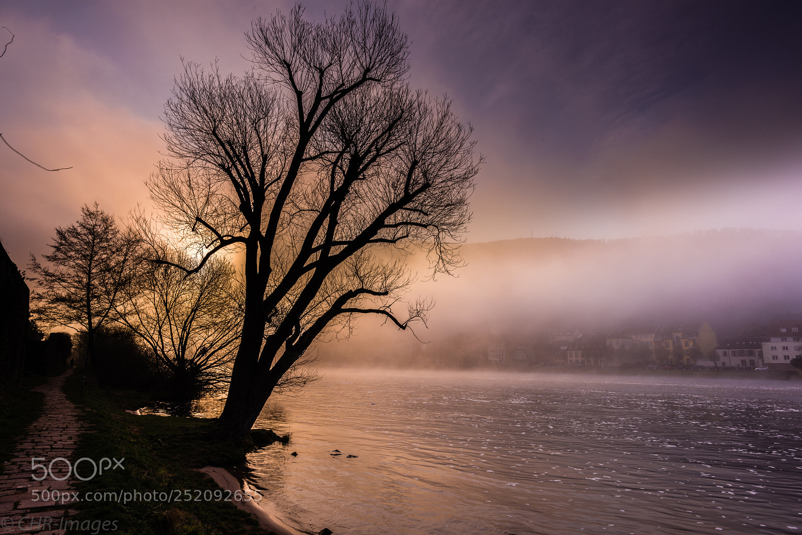 Nikon D810 sample photo. Misty morning photography