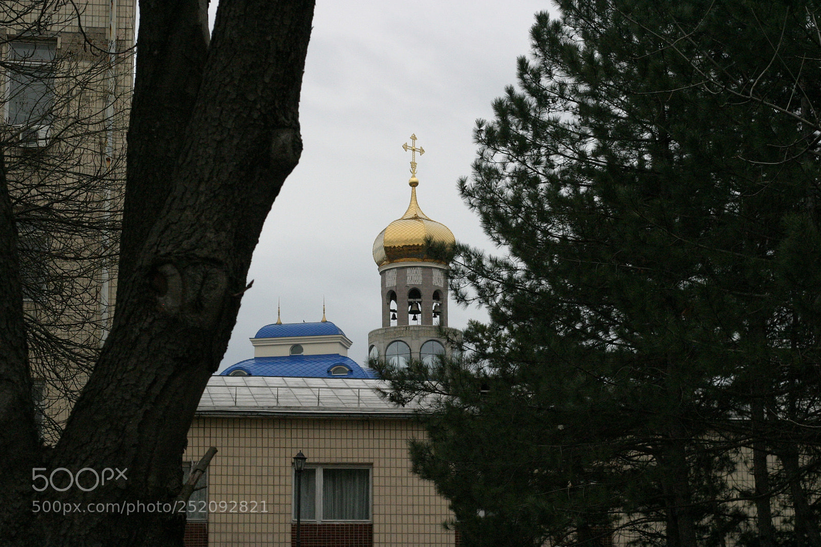 Canon EOS 10D sample photo. Untitled photography