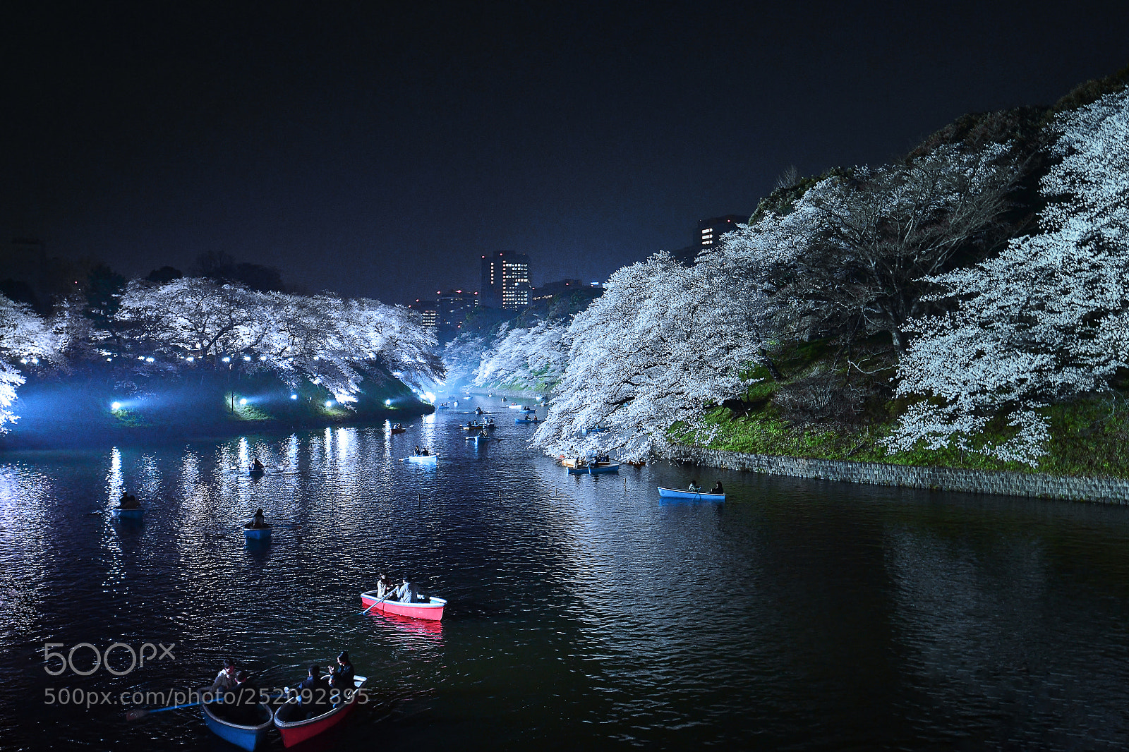 Nikon D850 sample photo. Chidorigafuchi photography
