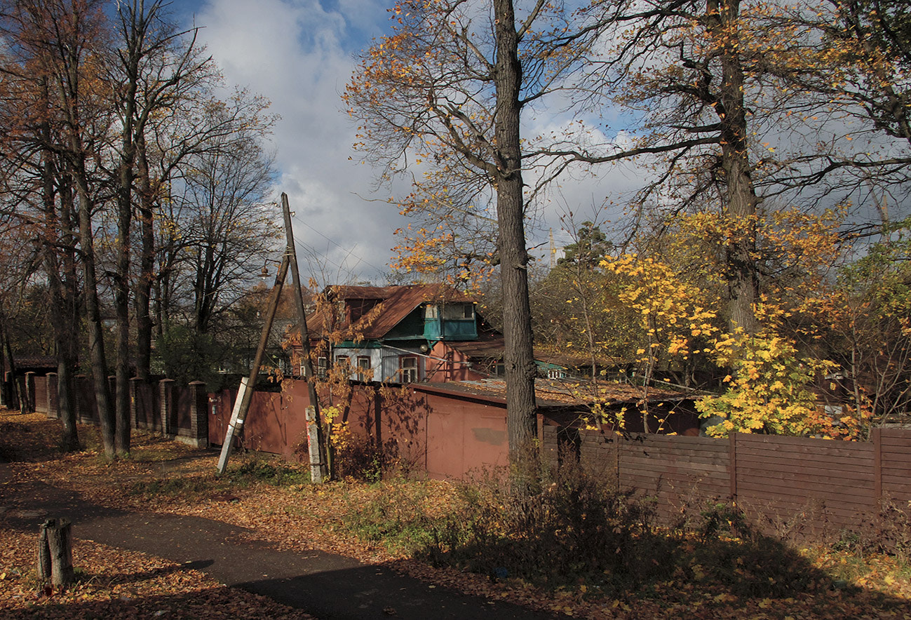 Pentax K110D sample photo. Autumn in moscow. photography