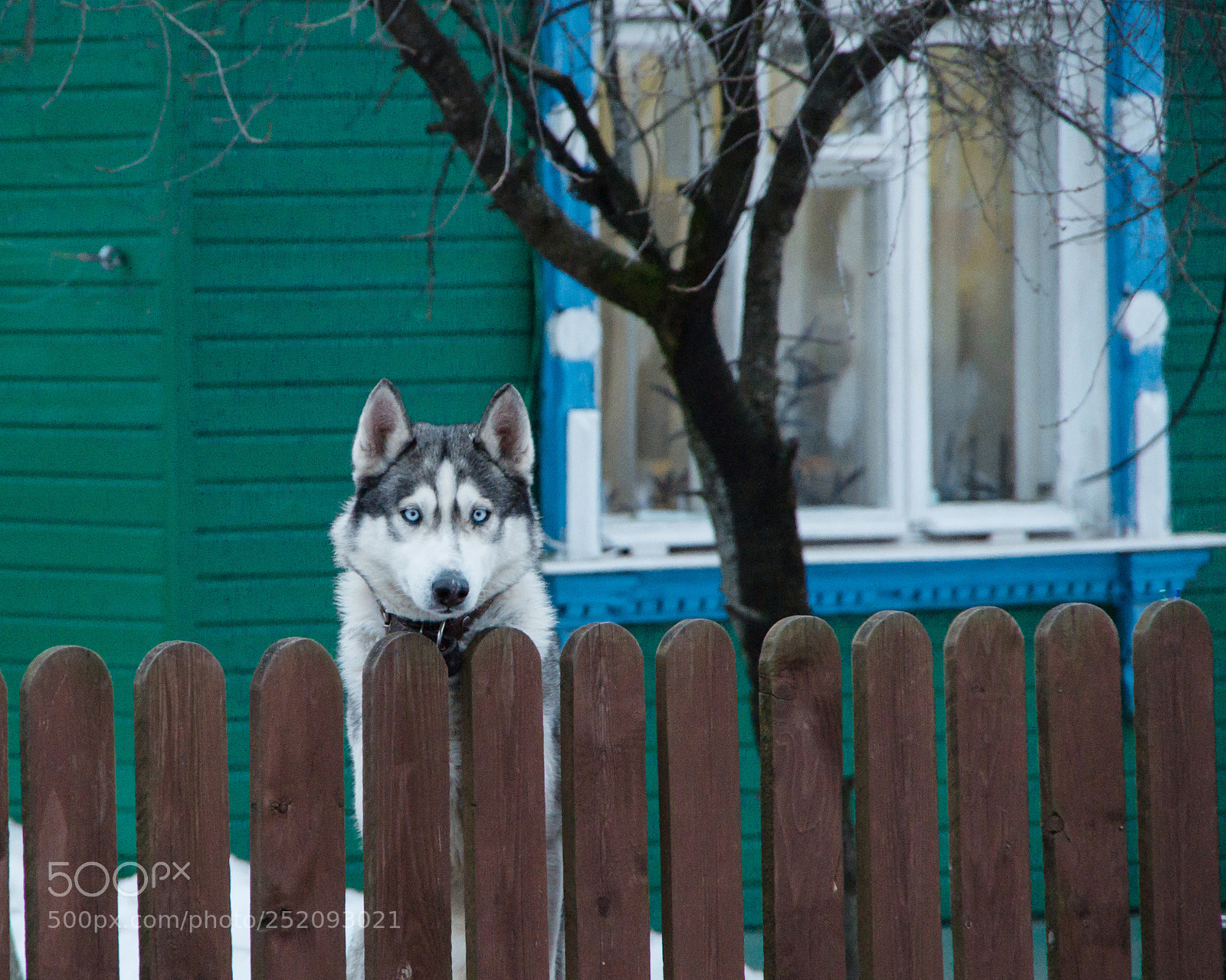 Pentax K-30 sample photo. Security guard photography