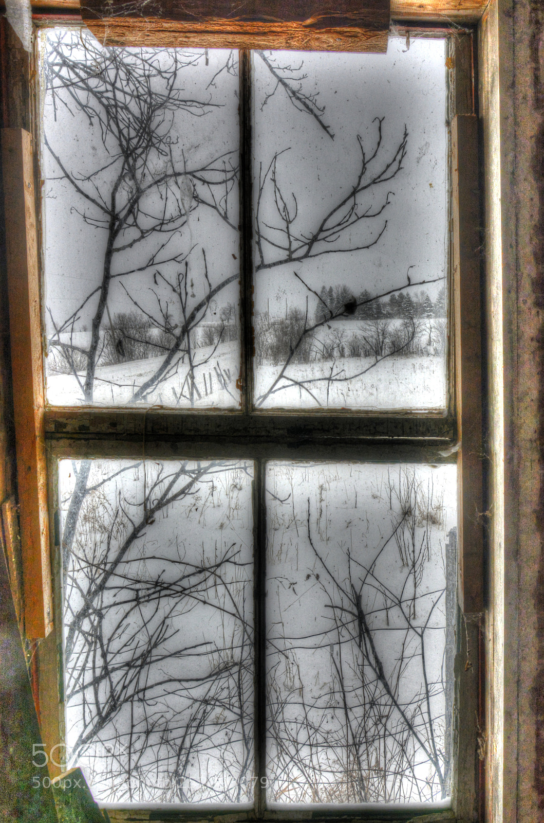 Nikon D7100 sample photo. The other world 1 photography