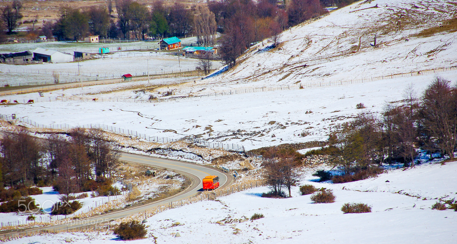 Nikon D50 sample photo. Still following the red photography