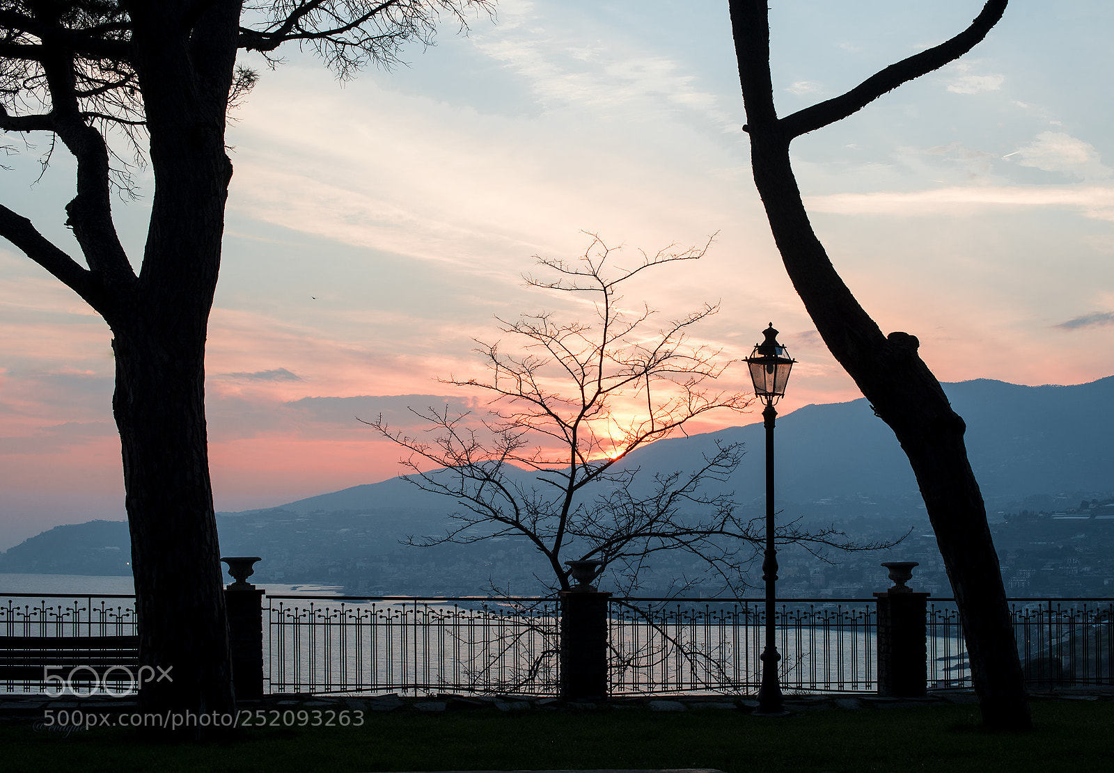 Nikon D610 sample photo. Guardia photography