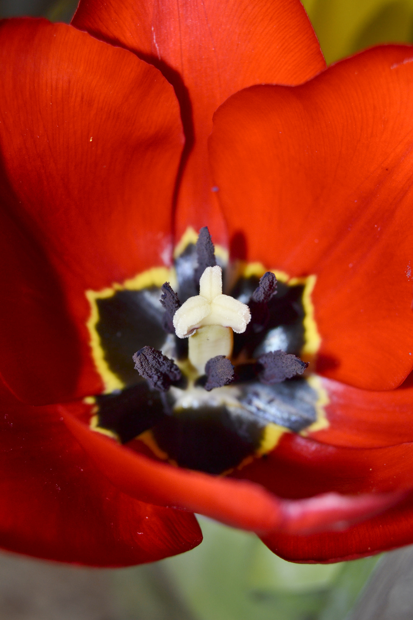 Nikon D3100 sample photo