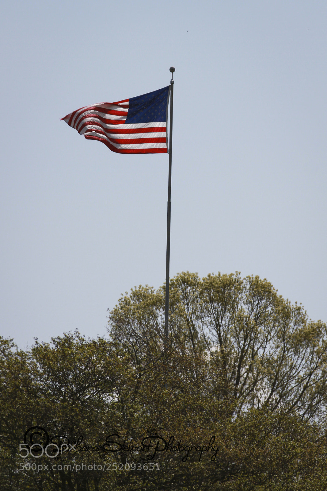 Canon EOS 7D sample photo. Img photography