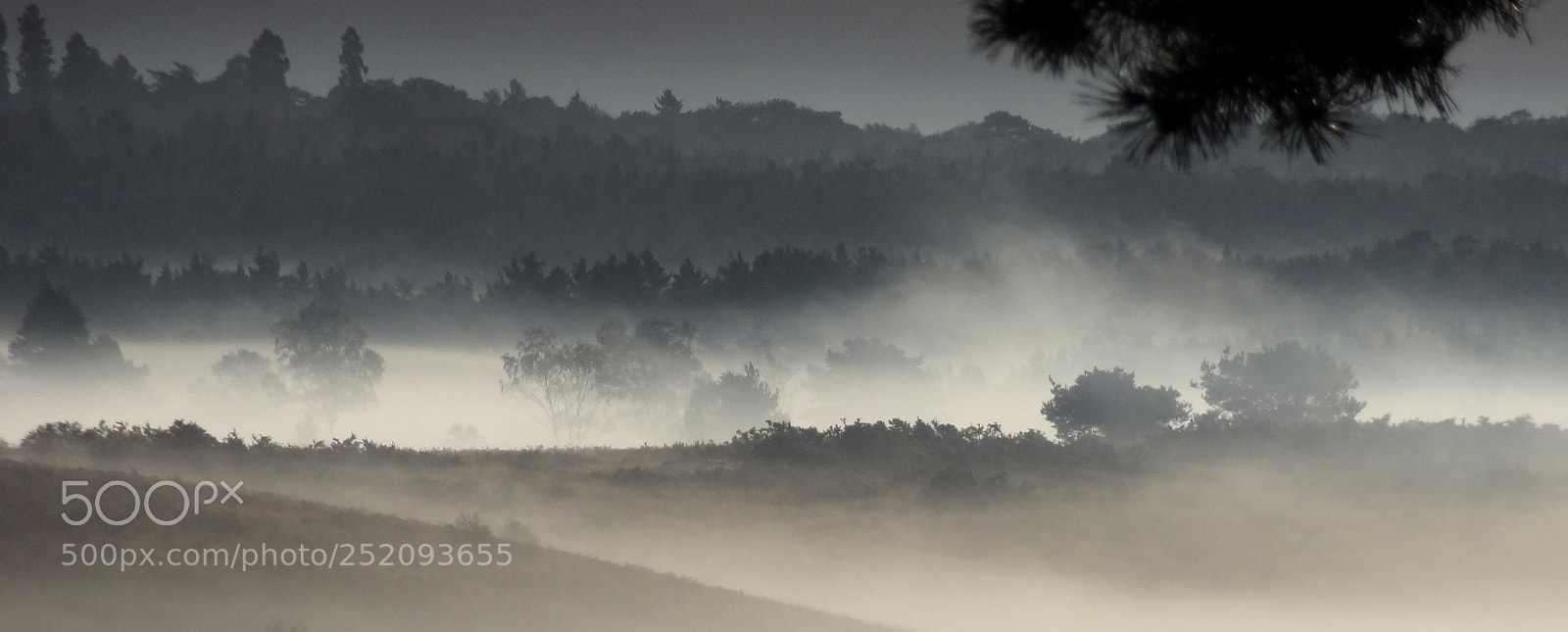 Sony Cyber-shot DSC-HX9V sample photo. Chobham common misty morning photography