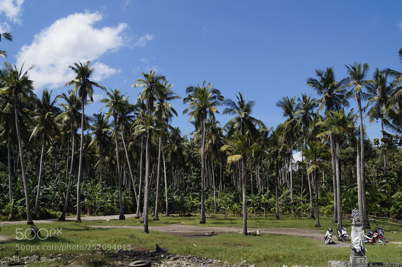Sony SLT-A58 sample photo. Kai_bali_2017 photography