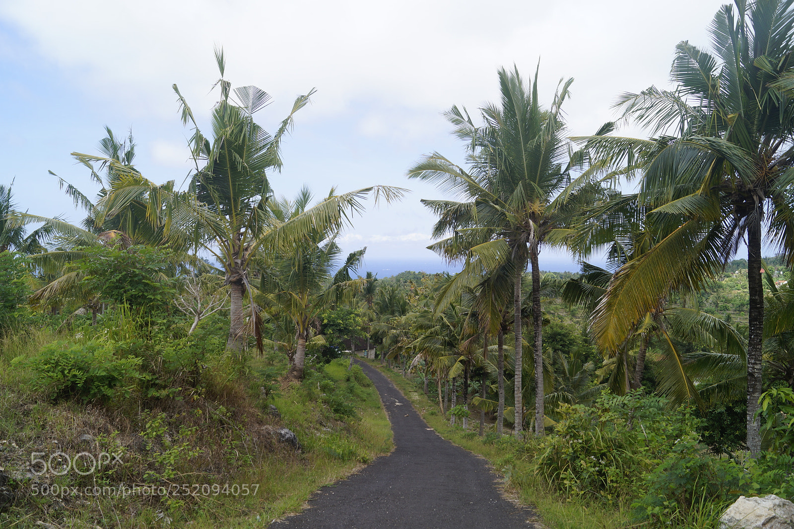Sony SLT-A58 sample photo. Kai_bali_2017 photography