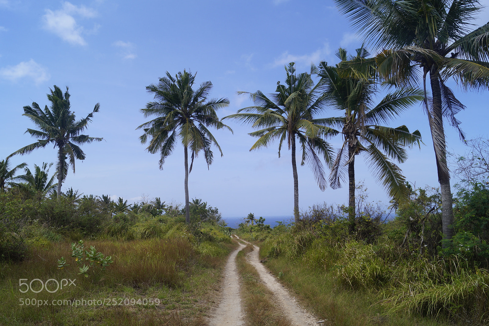 Sony SLT-A58 sample photo. Kai_bali_2017 photography