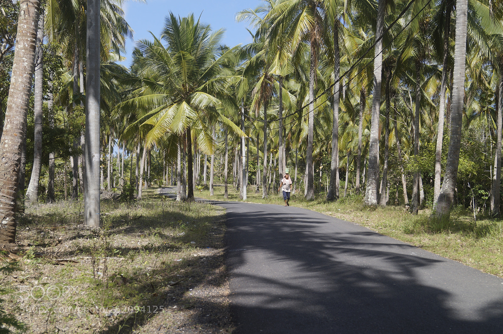 Sony SLT-A58 sample photo. Kai_bali_2017 photography